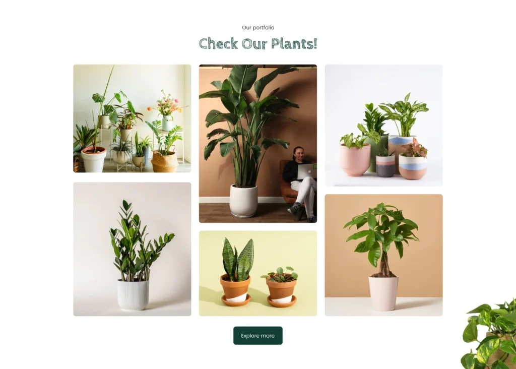 Our portfolio image